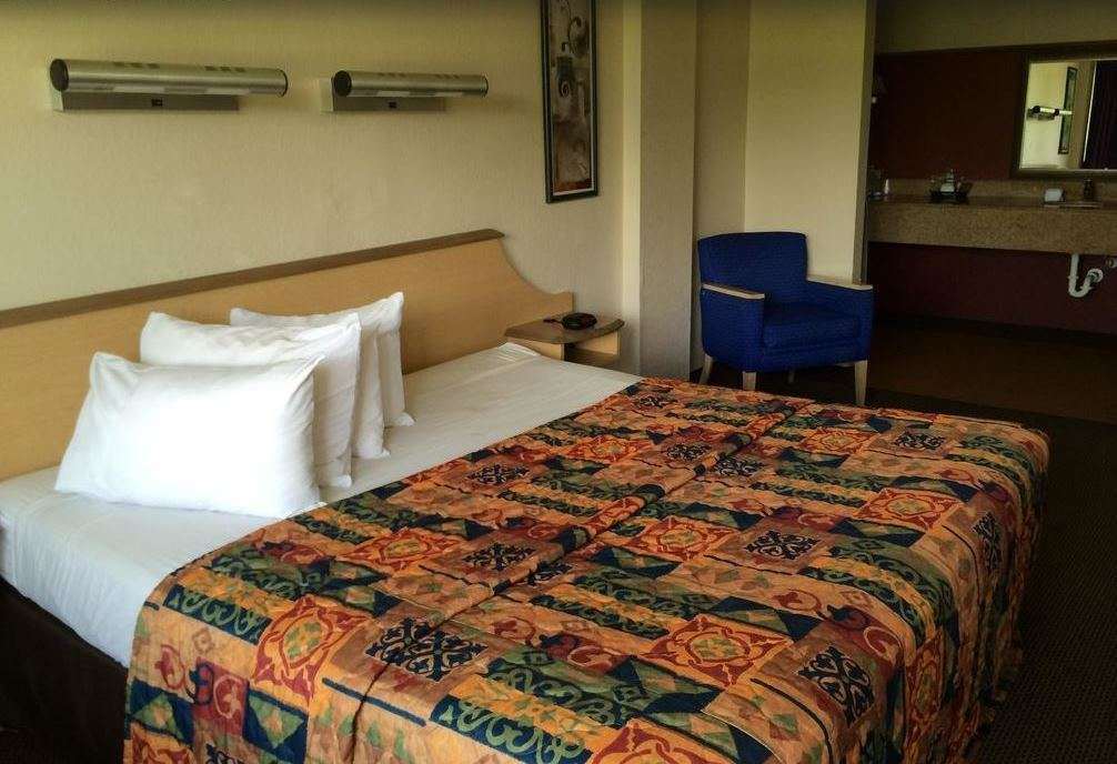 Econo Lodge Palm Harbor - Clearwater 部屋 写真